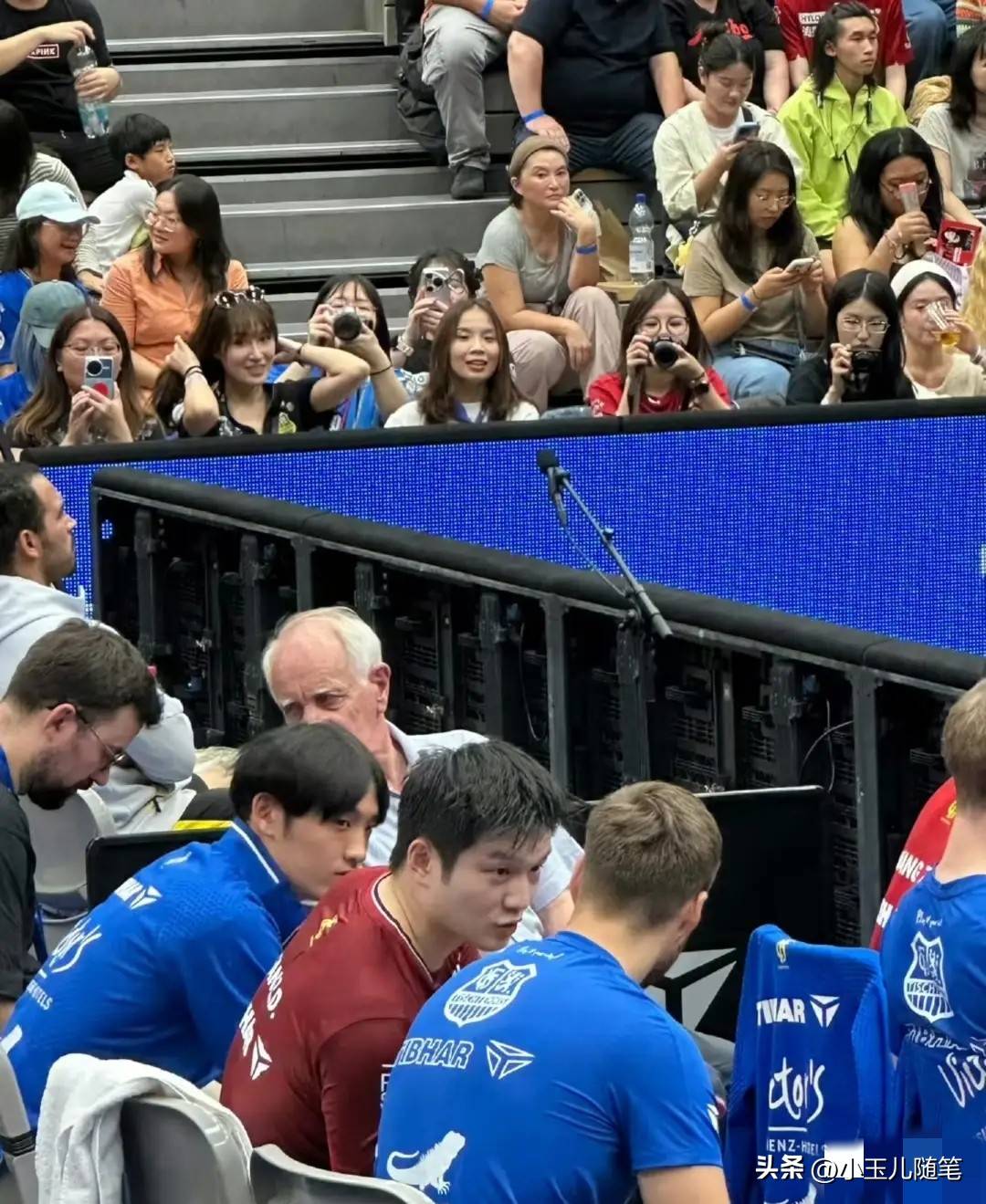 关于孟菲斯灰熊转会期复出首秀，志在德国杯名次提升，气氛紧张，数据趋势出现新变化的信息