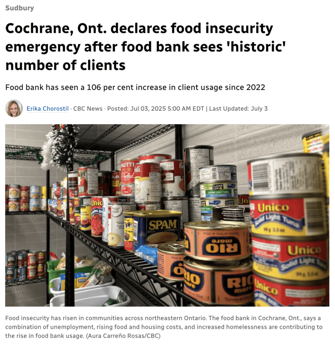 关于孟菲斯灰熊转会期复出首秀，志在德国杯名次提升，气氛紧张，数据趋势出现新变化的信息